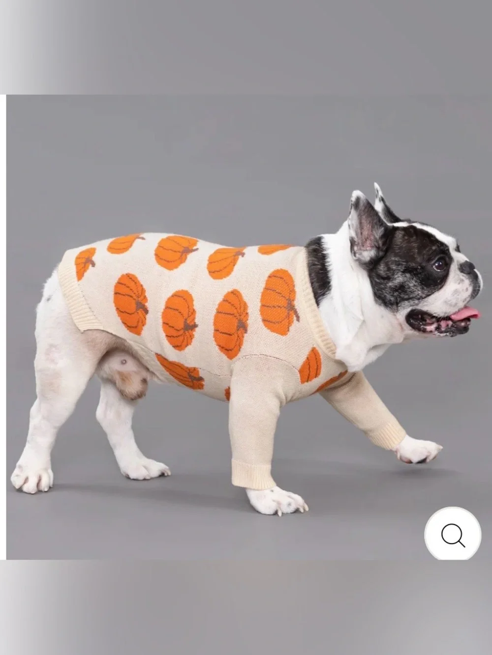 🎃PUMPKIN Dog Sweater - Antique Cream & Orange Knit Fall Pet Pullover